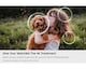 image 4 of Samsung QE85QN85FAUXXU 85" QN85F Neo QLED 4K Vision AI Smart TV