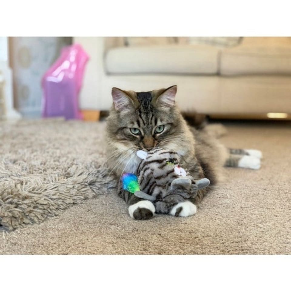 image 1 of Rosewood Moody Moggy Reversible Grab Toy