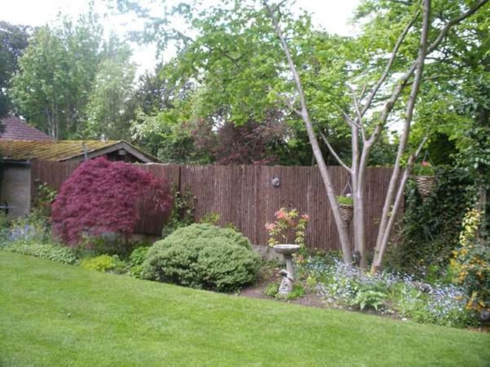 image 1 of Primrose Natural Bark Screening Garden Fence Privacy Roll Sun Protection 4m x 1m | Brown | Brown