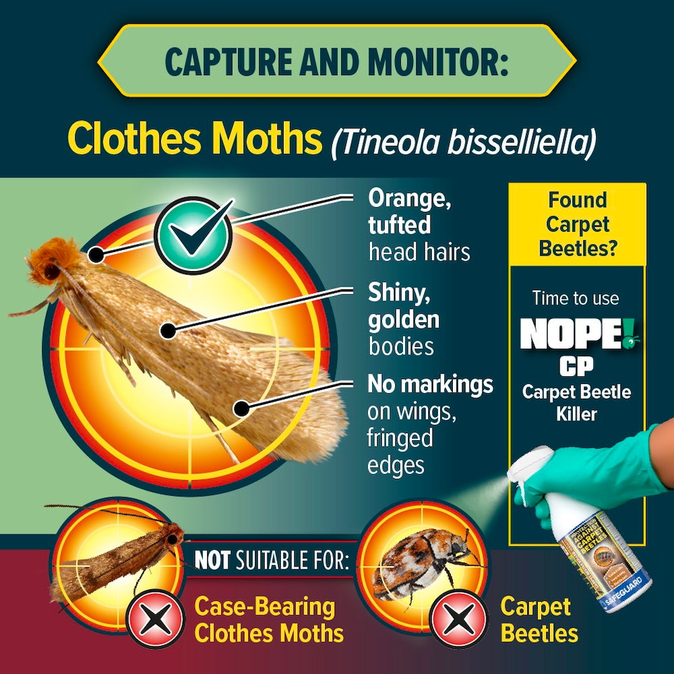 image 1 of NOPE Clothes Moth Traps (x6) Odourless Non-Toxic Pheromone Sticky Trap For Cupboards, Drawers & Clothes - Child & Pet Safe.