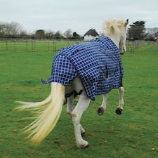 Rhinegold Atlanta Turnout Rug Blue | Colour: Navy Check
Size: 7ft 0