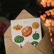 image 3 of Ernst Benary Art Card Ornamental Gourds Vintage Botanical