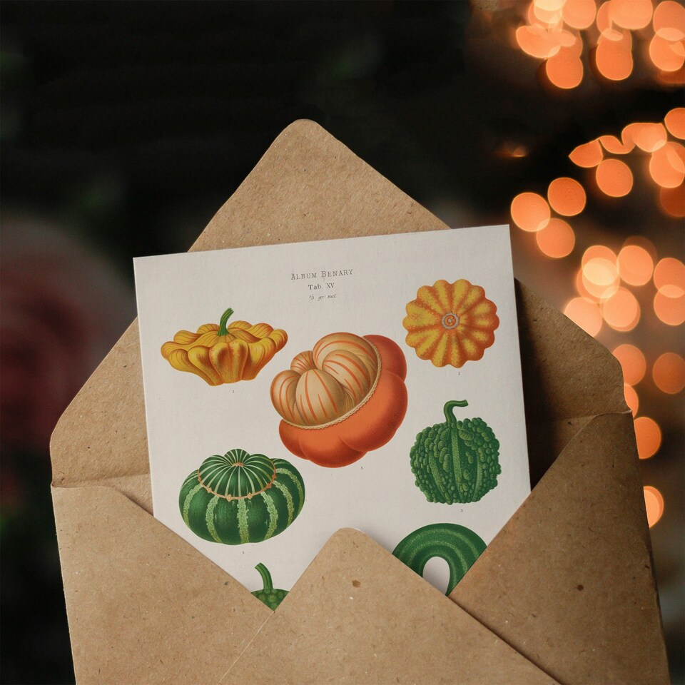 image 1 of Ernst Benary Art Card Ornamental Gourds Vintage Botanical