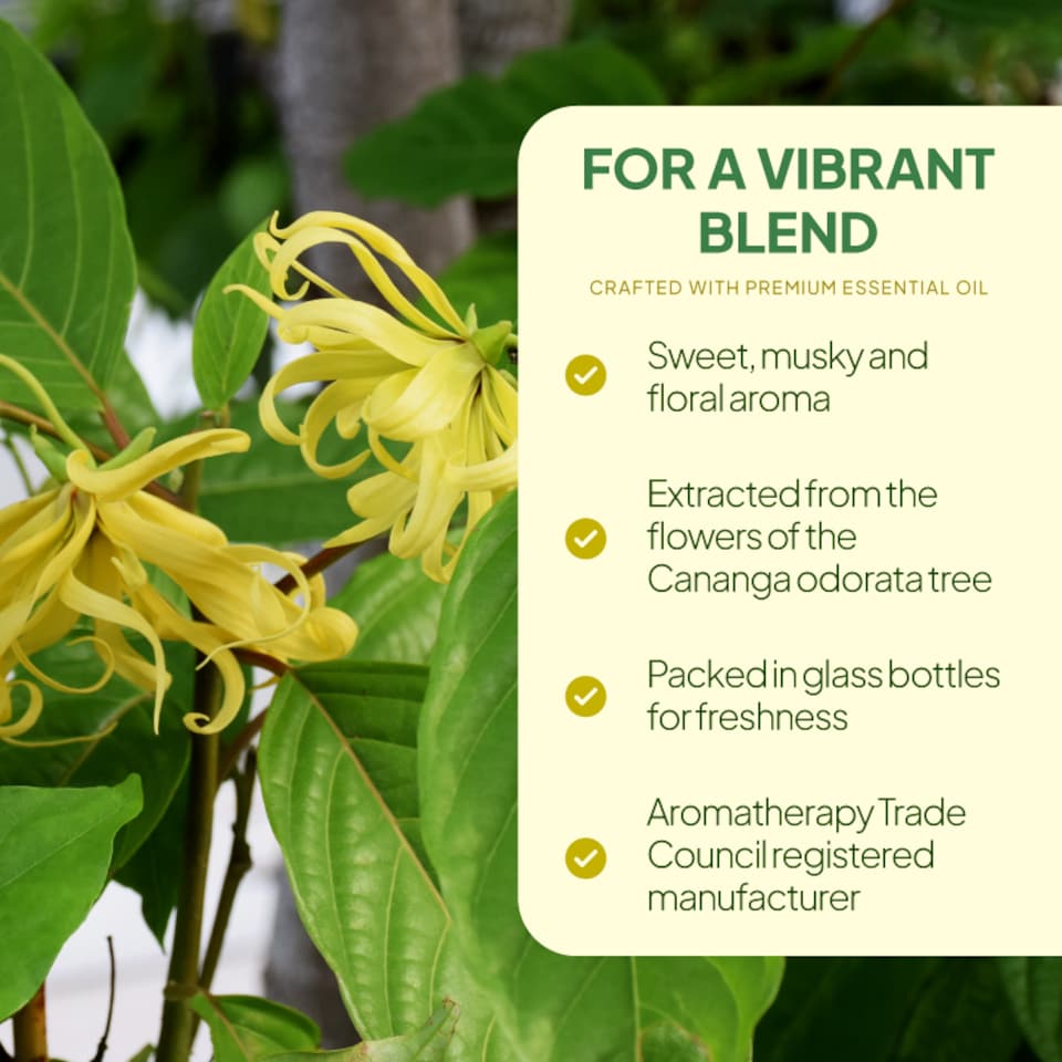 image 1 of Ylang Ylang Essential Oil - 2x10ml bottles
