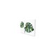 image 1 of Twin Palm leaves (Canvas Print) 127cm x 91cm