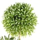 image 2 of Artificial Topiary Balls Topiary - 480 Leaves  UV PROTECTED OUTDOOR Botanik | Green | One Size