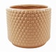 image 1 of Dusty Pink Peach Raised Dots Ceramic Plant Pot 15 x 15 x 12.5cm | Orange