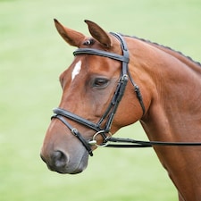 Shires Salisbury Bodenham Bridle Black | Size: Small Pony
Colour: Black