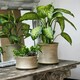 image 3 of Luxe Planter White Gold Gold