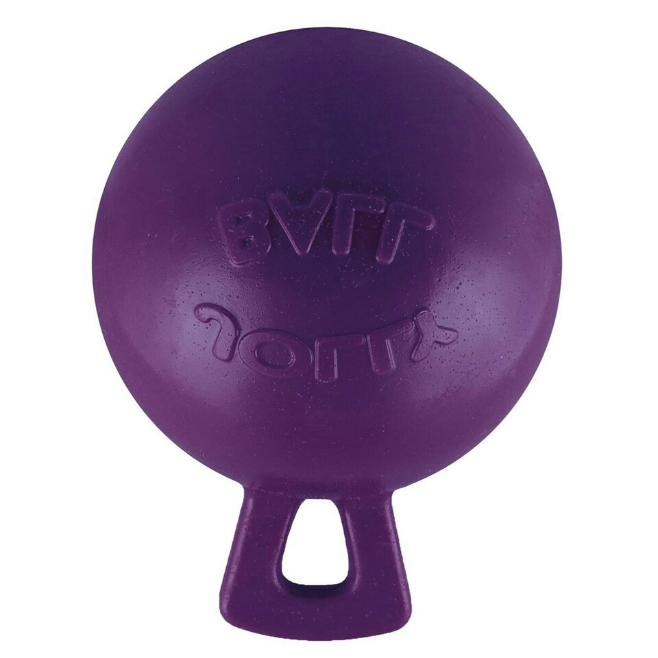 image 1 of Jolly Pets Tug-N-Toss Dog Toy - Purple - 4.5
