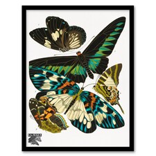 Eugene Seguy Framed Wall Art Print Vintage Butterflies Green Blue Home Décor