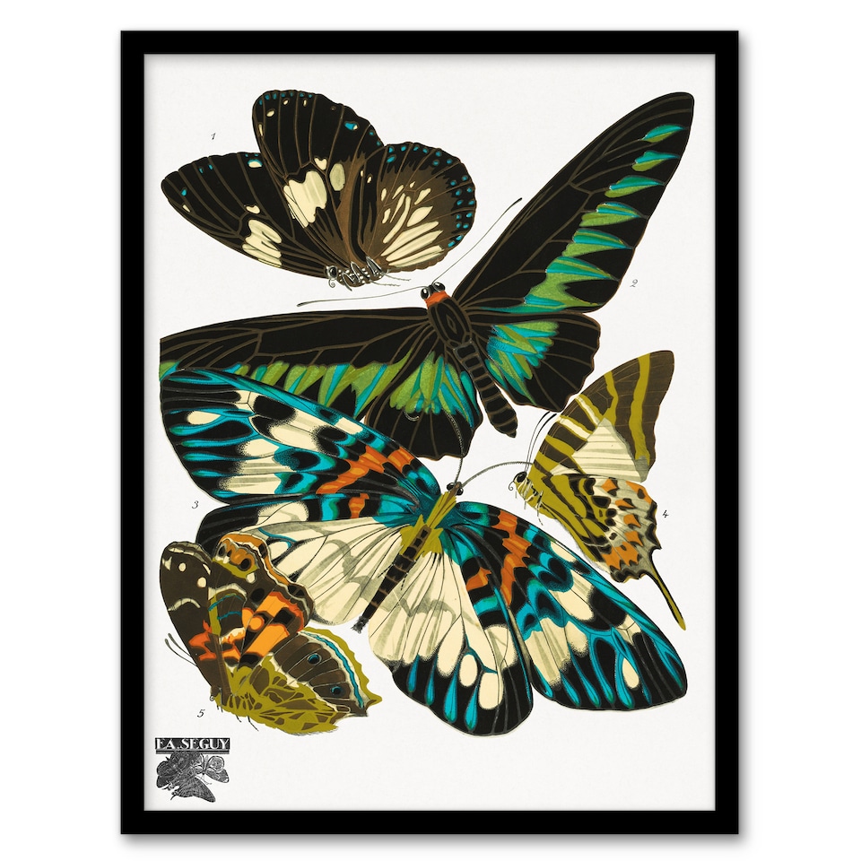 image 1 of Eugene Seguy Framed Wall Art Print Vintage Butterflies Green Blue Home Décor