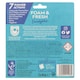 image 2 of Astonish Eucalyptus Foam Fresh Toilet Block Cleaning Action Bleach Odour Control