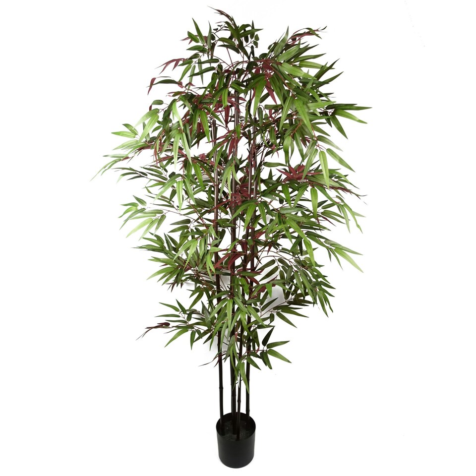 image 1 of Artificial Fake Bamboo Tree Realistic Large Screening 6ft Botanik Red | One Size