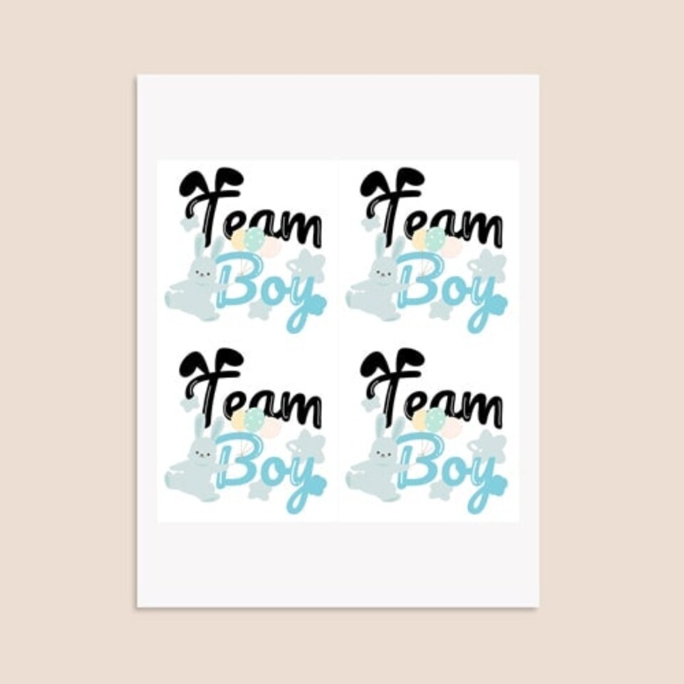 image 1 of Team Boy Bunny Gender Reveal Square Stickers 95mm - Sheet of 4