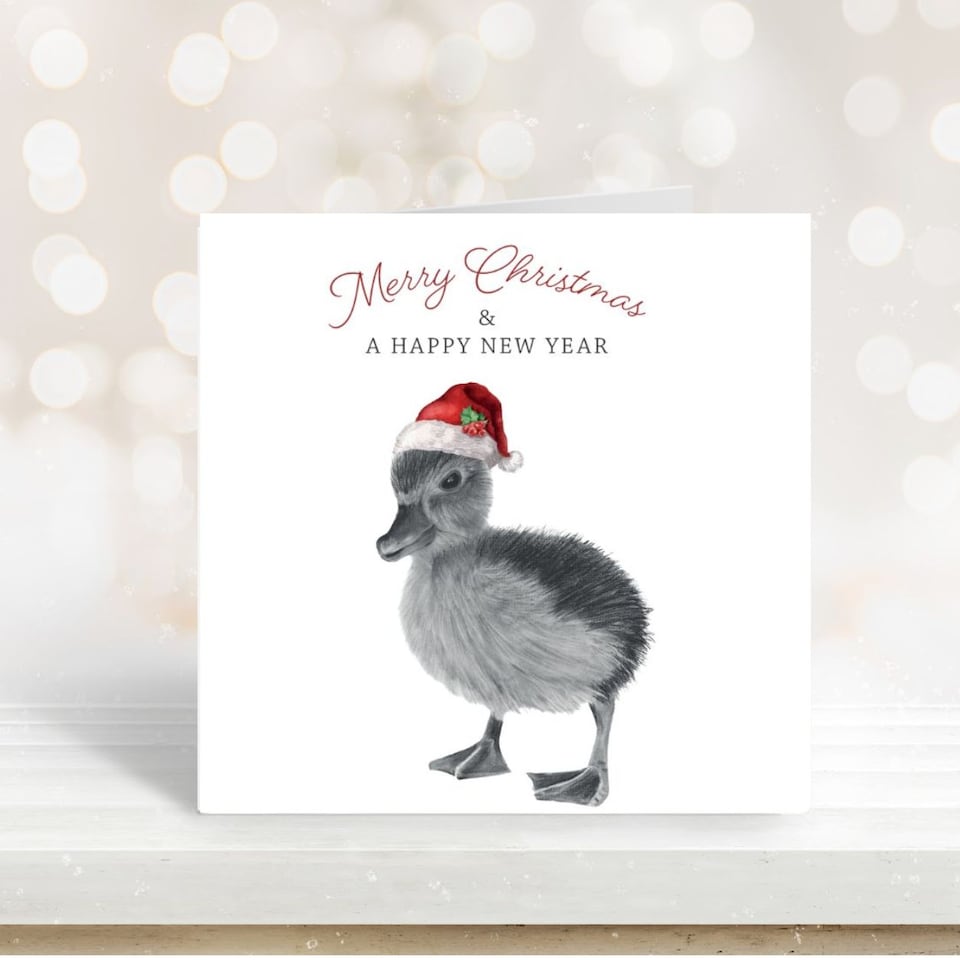 Libra Fine Arts Christmas Robin Card – Cute Robin Festive Christmas ...