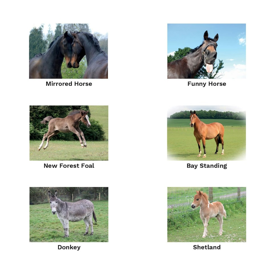 image 1 of Kevin Milner Working Hunter Countryside Greetings Card - White/Grey/Green - One Size