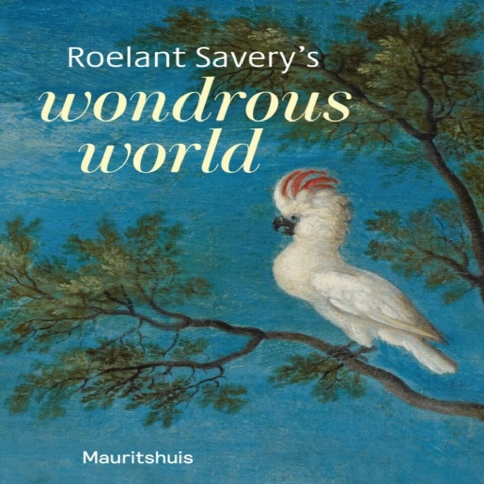 Roelant Savery's Wonderous World