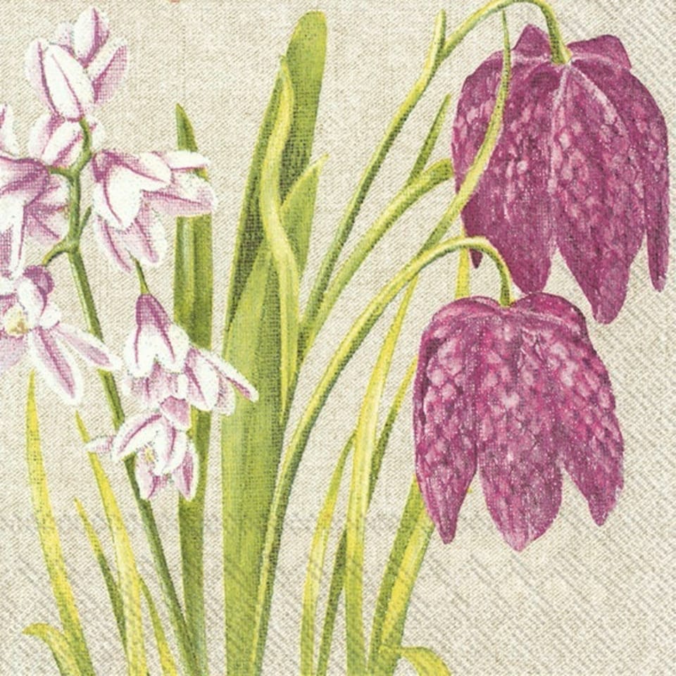 IHR  Checkerboard Flower Cocktail Napkin 25cm 3ply 20 Pack