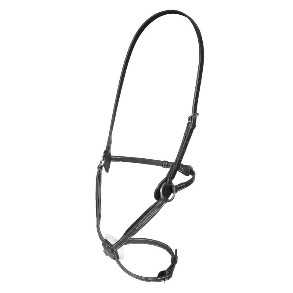 Salisbury Brackley Leather Horse Noseband - Black - Full