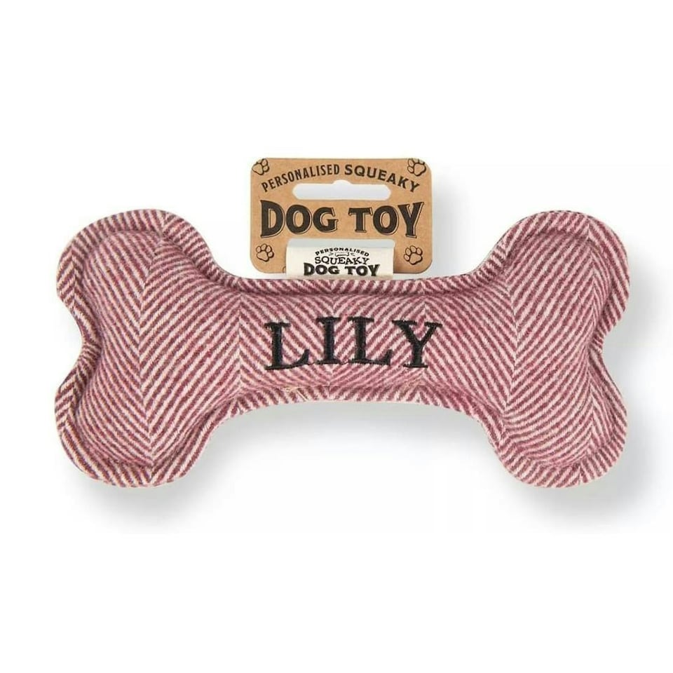 image 1 of History & Heraldry Pre-Personalised Squeaky Bone Dog Toy - Lily