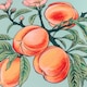 image 5 of Furn Anemone Peaches Printed Outdoor Cushion