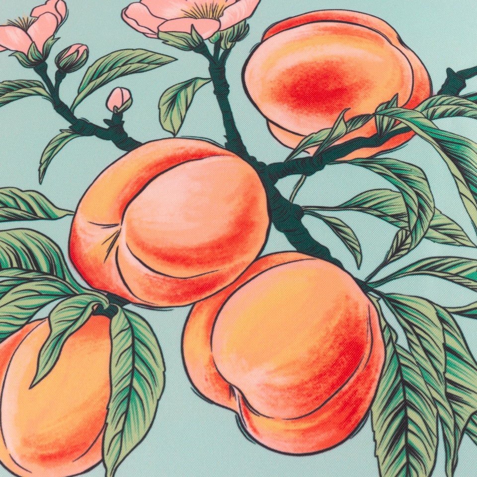 image 1 of Furn Anemone Peaches Printed Outdoor Cushion