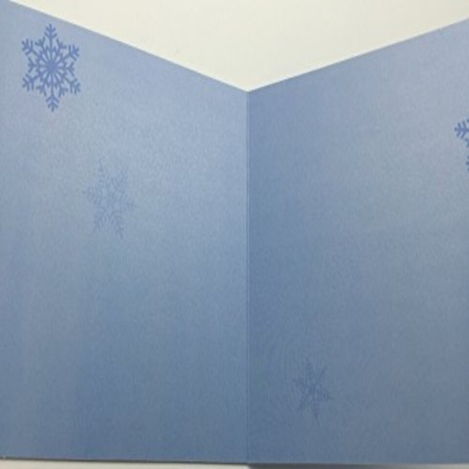 image 1 of 3D Holographic Up Close POLAR BEAR Merry Christmas Greeting Card