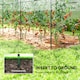 image 6 of Outsunny Tomato Greenhouse with Top Tap, Pointed Bottom and Guy Ropes, Clear
