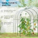image 3 of Outsunny Tomato Greenhouse with Top Tap, Pointed Bottom and Guy Ropes, Clear