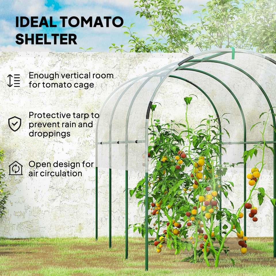 image 1 of Outsunny Tomato Greenhouse with Top Tap, Pointed Bottom and Guy Ropes, Clear