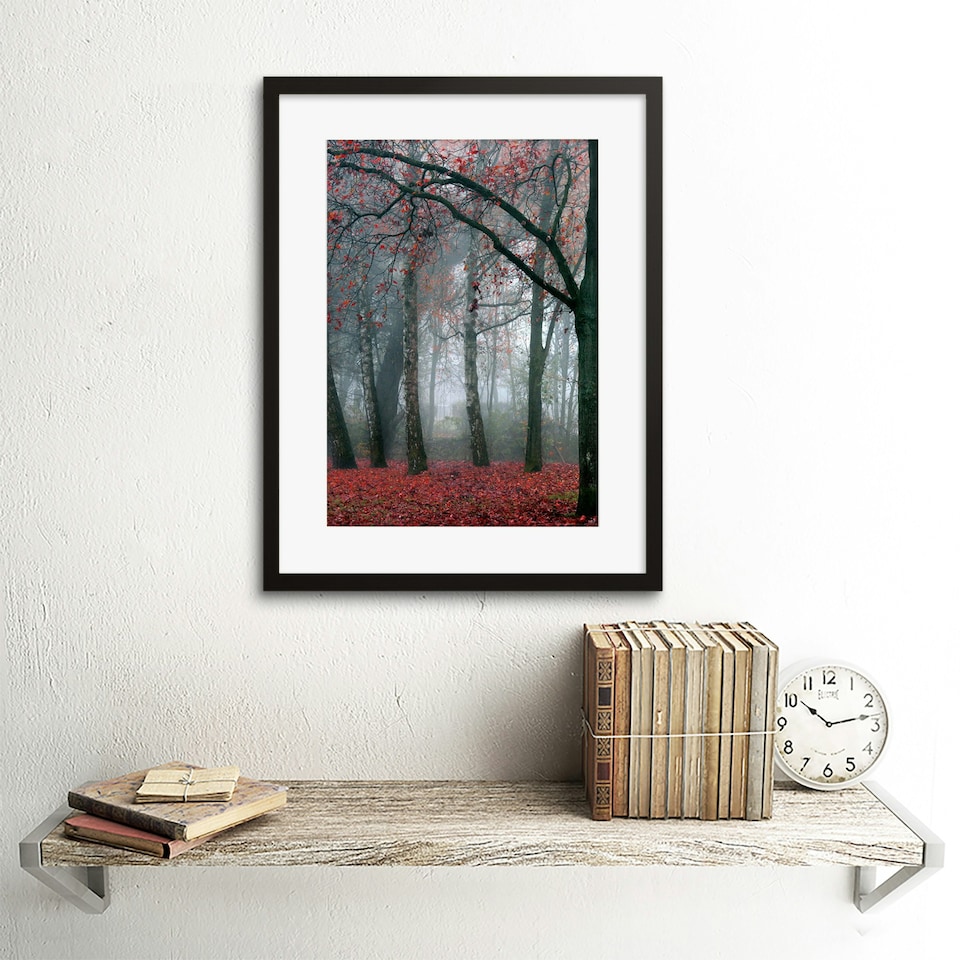 image 1 of Nature Forest Tree Autumn Fall Red Home Decor 12x16" Framed Wall Art Print