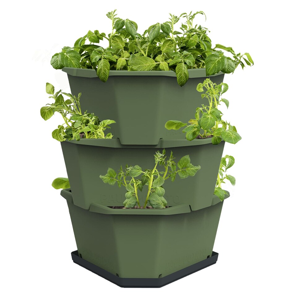 image 1 of GUSTA GARDEN Paul Potato Potato Tower 3-Tier dark green - Raised Bed Potato Tower - Garden & Balcony - Pest protection - 0.2m² - 42L Soil Capacity