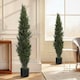 image 7 of HOMCOM Set of 2 Decorative Artificial Plants Cypress in Weighted Pot, 150cm