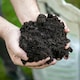 image 6 of Marshalls Garden Organic Extra Fertiliser and Soil Improver 2 x 44 litre bags
