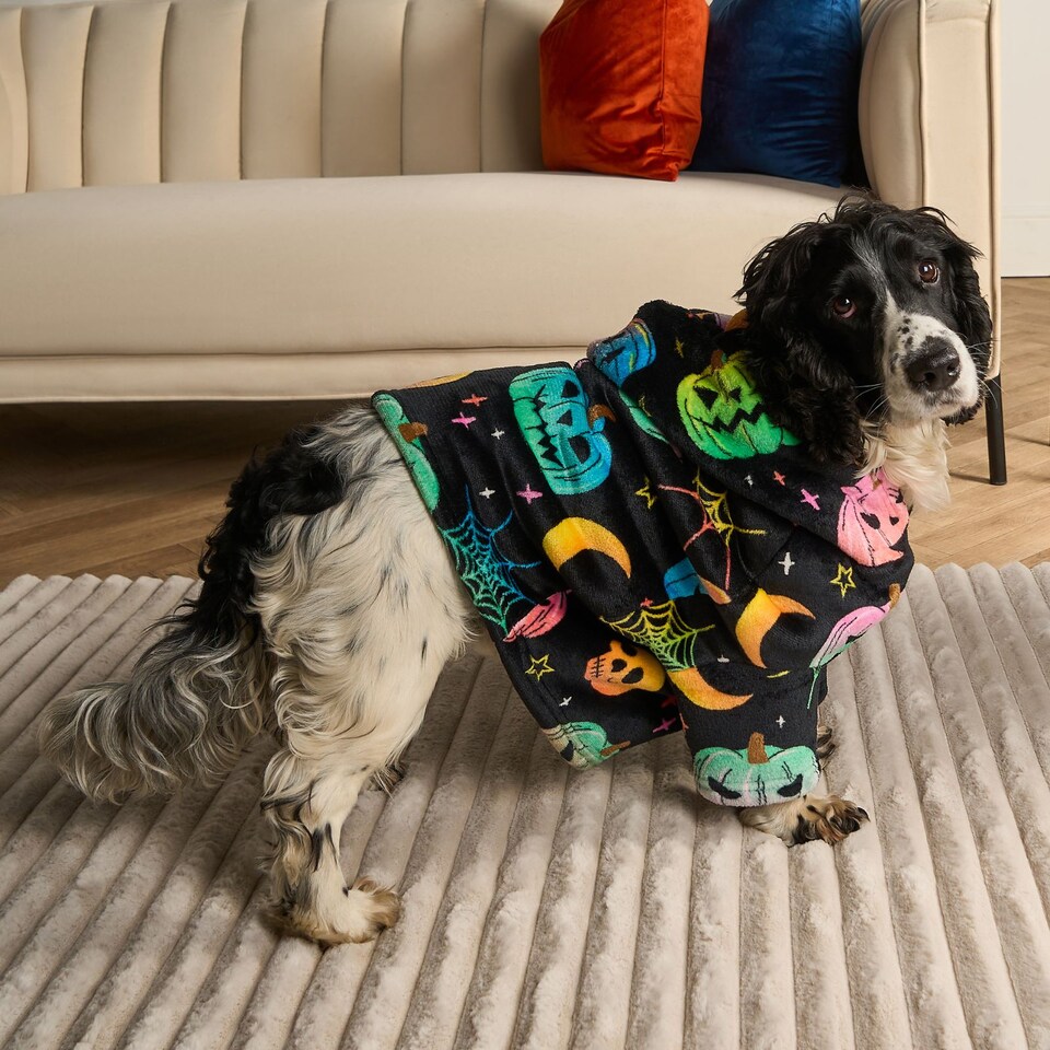 OHS Neon Halloween Print Dog Hoodie Blanket Vibrant Spooky Pet Sweater