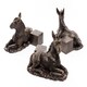 image 1 of Donkey Foal Plant Pot Feet - Set of 3 - L8 x W10.5 x H8.5 cm Brown