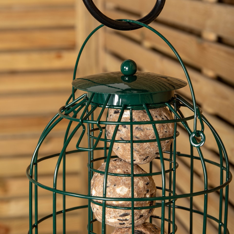 image 1 of Pack of 2 Samuel Alexander Metal Hanging Bird Fat Ball Feeder with Squirrel Guard & Pack of 6 Suet Fat Balls