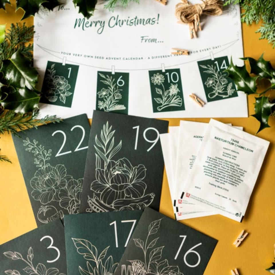 image 1 of Gift Advent Calendar Flower Seeds x 1