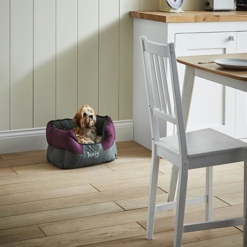 image 1 of Water resistant Dog Bed, water resistant, washable, small to large sizes - Bunty Anchor Purple | S