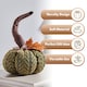 image 4 of Marco Paul 13cm Green Plush Pumpkin Soft Fabric Autumn Decoration for Halloween & Seasonal Displays