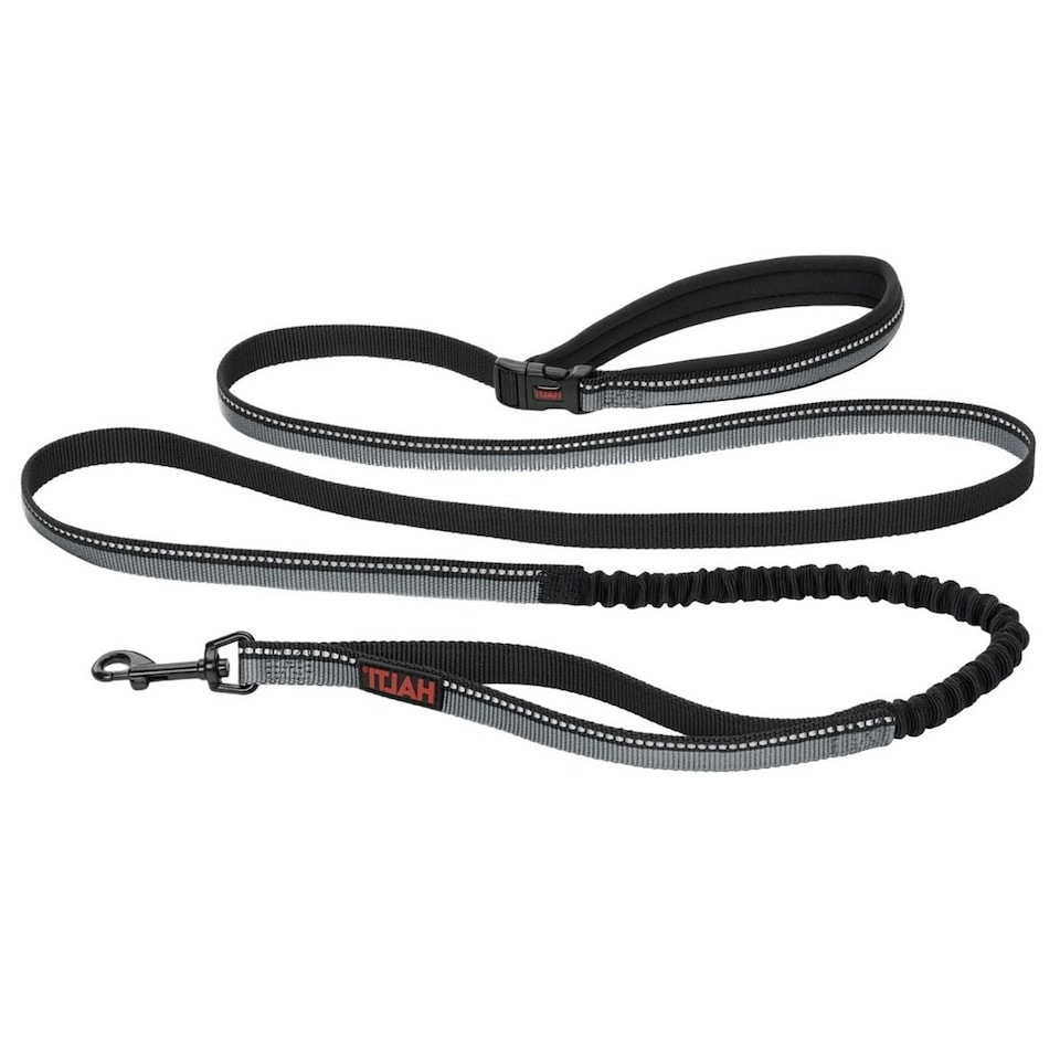 image 1 of Halti Active Dog Lead - Black - Large-2.5cm-2.1m