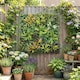 image 7 of Outsunny Grass Wall Panels, Greenery Backdrop Panels, Green | Green | Green, Yellowish-brown, Purple, White | 100 x 100 cm