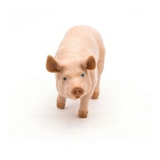 PAPO Farmyard Friends Boar Toy Figure