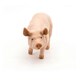 image 1 of PAPO Farmyard Friends Boar Toy Figure