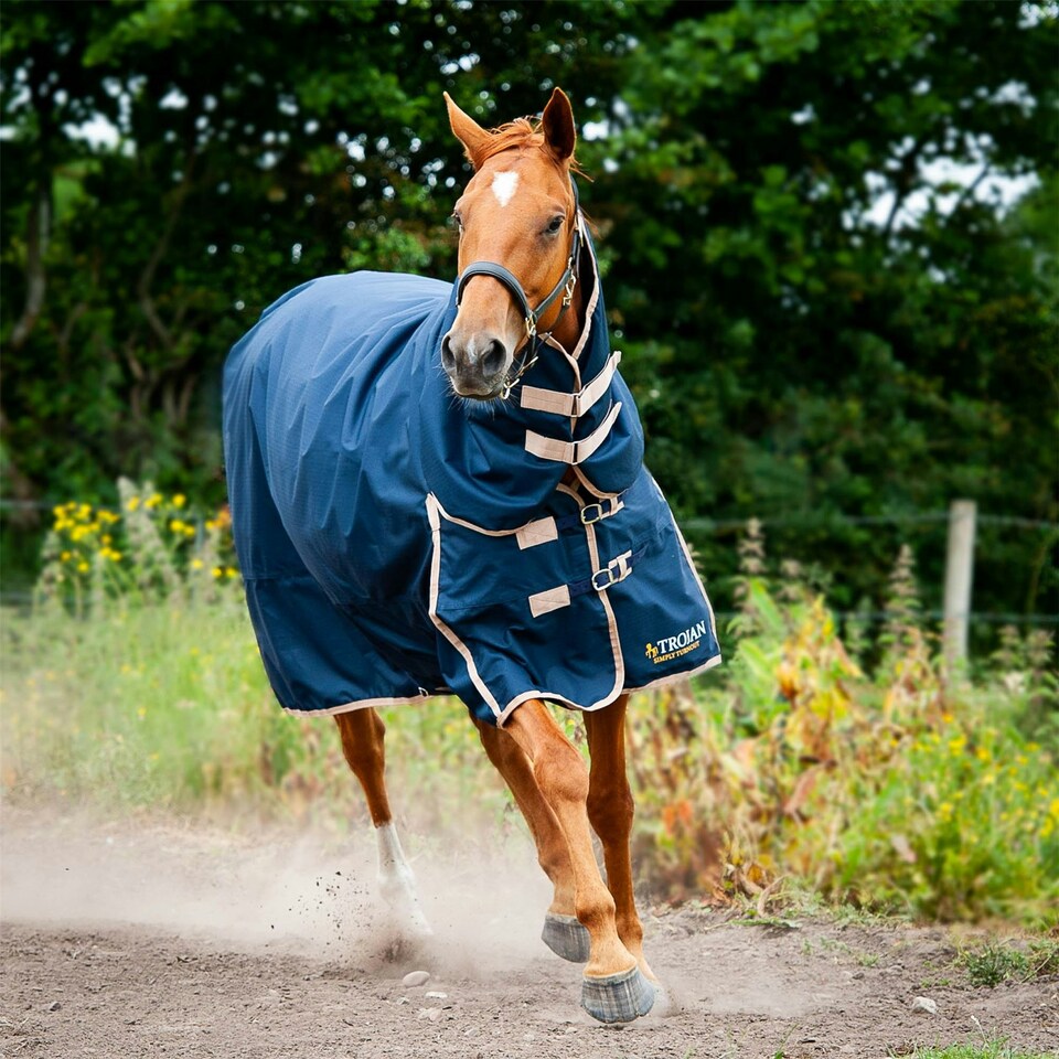 image 1 of Gallop Equestrian Trojan 100 Combo Turnout Red | Size: 7ft 0
Colour: Navy/Red