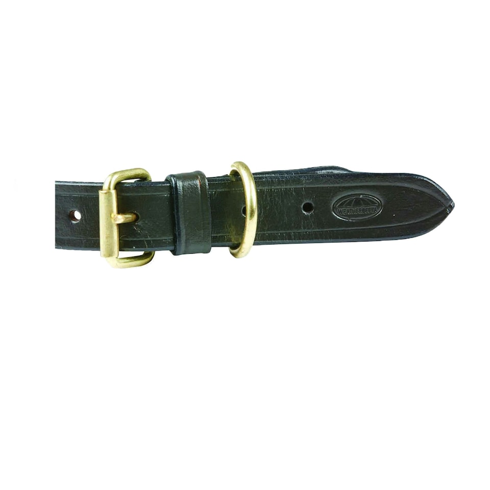image 1 of Weatherbeeta Rope Leather Dog Collar - Hunter Green/Brown - S