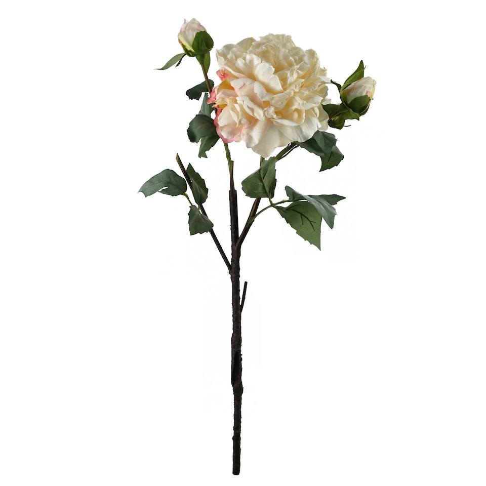 image 1 of 6 x 60cm Peony Artificial Flower Cream - 6 flowers 18 buds
