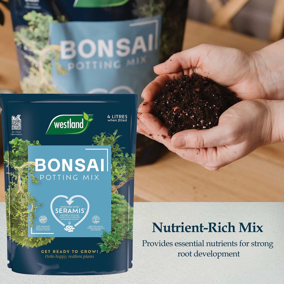 image 1 of Westland Bonsai Potting Mix 4L Free Draining Peat Free Brown Soil for Healthy Bonsai Growth & Strong Roots