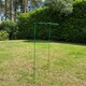 image 5 of Garden Plant Support Connecting Interlocking Metal Hoops (45cm x 60cm) - Pack of 2